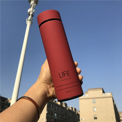 500ML Hot Water Thermos Tea Vacuum Flask