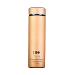 500ML Hot Water Thermos Tea Vacuum Flask