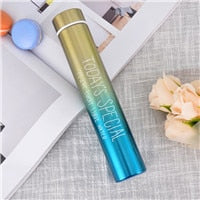 260ML Slim Insulated Vacuum Flasks