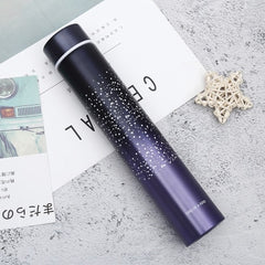 260ML Slim Insulated Vacuum Flasks