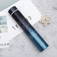 260ML Slim Insulated Vacuum Flasks