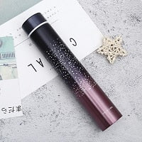 260ML Slim Insulated Vacuum Flasks