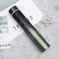 260ML Slim Insulated Vacuum Flasks